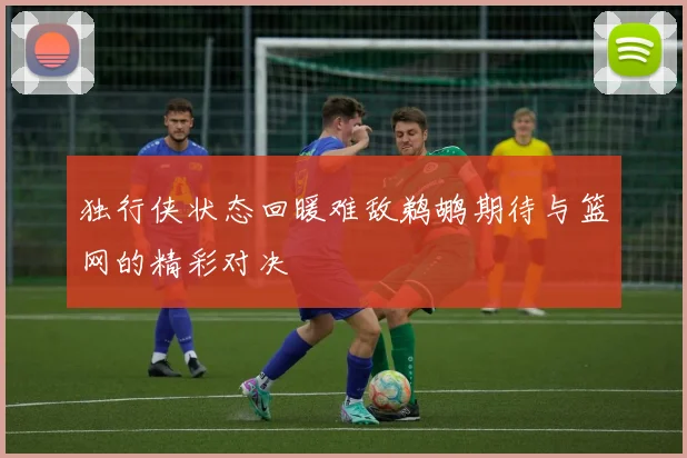 独行侠状态回暖难敌鹈鹕期待与篮网的精彩对决