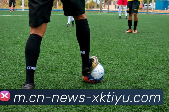 星空体育平台生态图