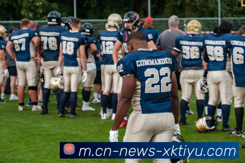 星空体育APP 封面图